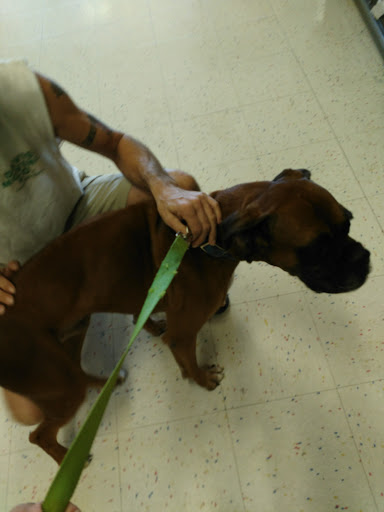 Pet Supply Store «Petco Animal Supplies», reviews and photos, 187 Stonebrook Pl, Jackson, TN 38305, USA