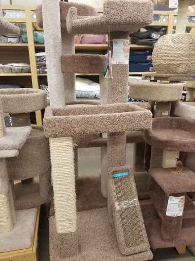 Pet Supply Store «Petco», reviews and photos, 35 Pleasant St, South Weymouth, MA 02190, USA