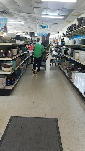 Garden Center «Westminster Nursery & Florist», reviews and photos, 30 Westminster Rd, West Hempstead, NY 11552, USA