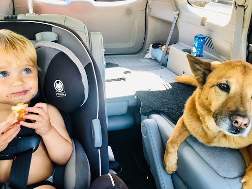 Bakery «Krispy Kreme Doughnuts», reviews and photos, 25802 El Paseo Avenue, Mission Viejo, CA 92691, USA