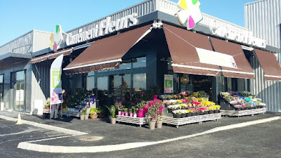 Carrément Fleurs - Fleuriste Carpentras 84 - Livraison de fleurs à domicile à Carpentras