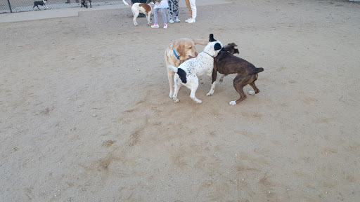 Dog Park «Eisenhower Dog Park», reviews and photos, 576 Salisbury Park Dr, Westbury, NY 11590, USA