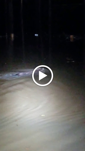 Park «Leake County Water Park», reviews and photos, 1190 Park Rd, Lena, MS 39094, USA