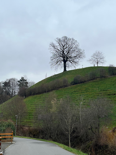 Big Tree Lookout - Altstätten