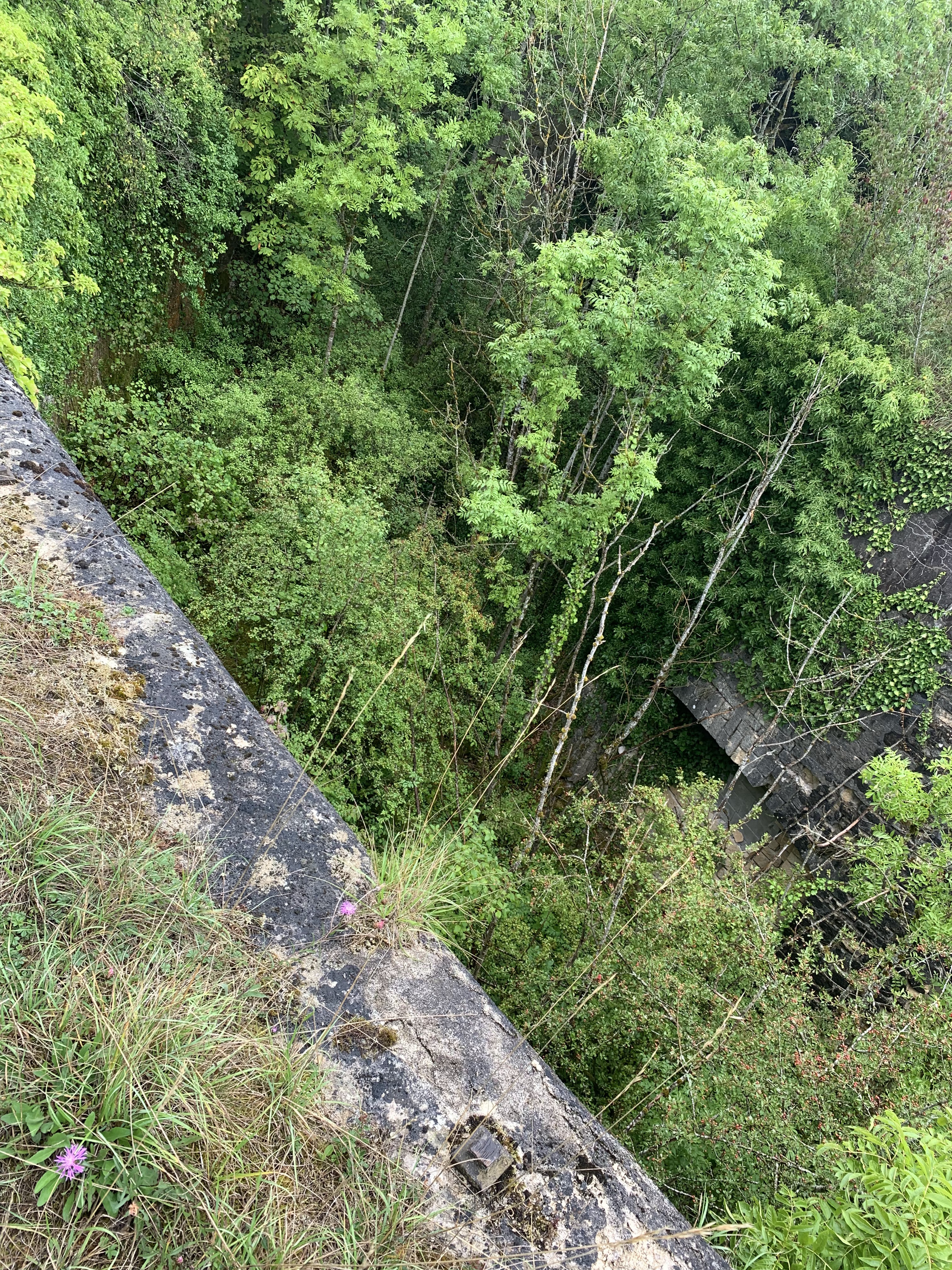 Photo n° 14 de l'avis de Sergent_.C fait le 12/08/2023 à 15:06