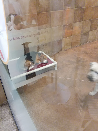 Pet Supply Store «PetSmart», reviews and photos, 3500 S Glenstone Ave, Springfield, MO 65804, USA