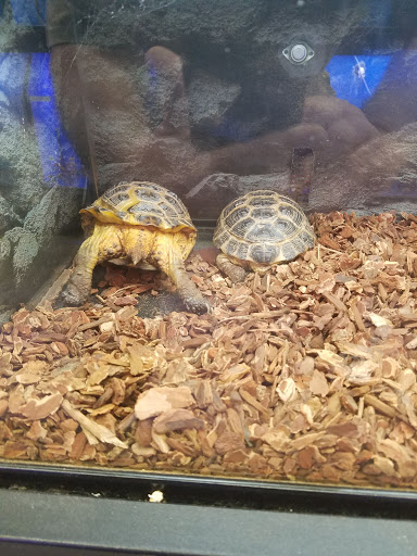 Pet Store «Super Pets», reviews and photos, 9403 E Las Tunas Dr, Temple City, CA 91780, USA