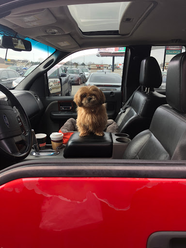 Used Car Dealer «American Imports Inc», reviews and photos, 8606 Pendleton Pike, Indianapolis, IN 46226, USA