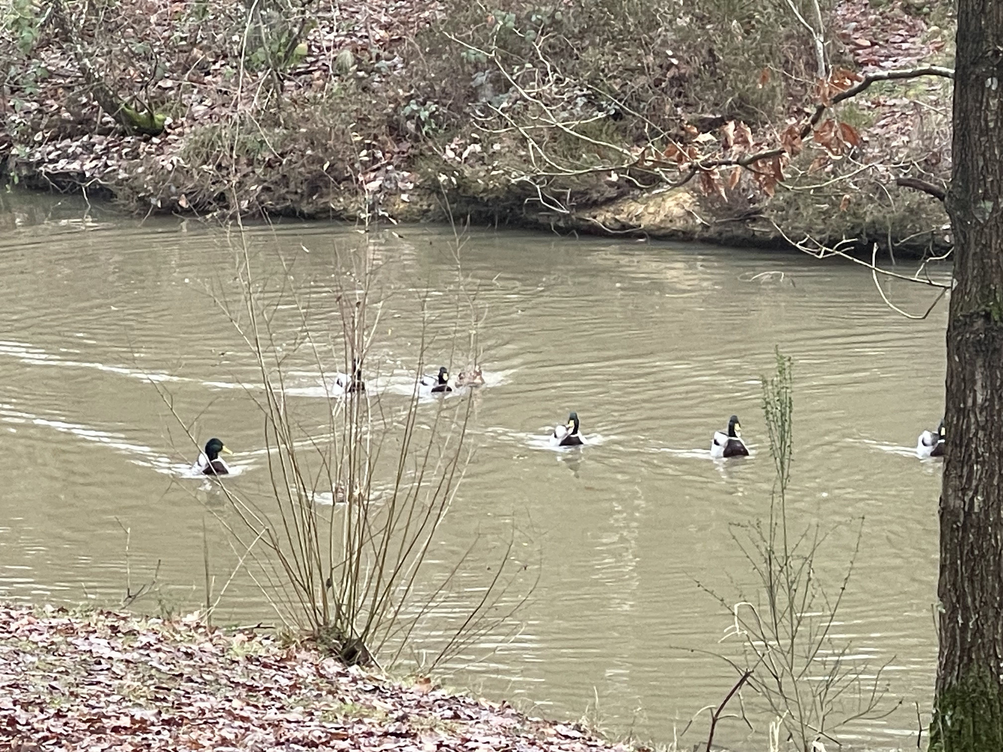 Photo n° 3 de l'avis de Céline. fait le 06/01/2024 à 14:16