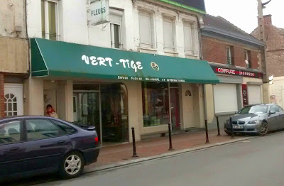 vert tige à Denain