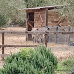 Photo n°8 de l'avis de Paolo.e fait le 18/09/2023 à 20:31 sur le  Agriturismo Su Leunaxiu à Soleminis