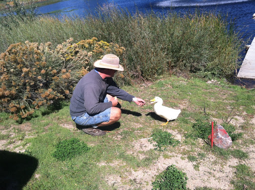 Golf Course «Kennedy Golf Course», reviews and photos, 10500 E Hampden Ave, Denver, CO 80014, USA