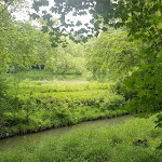 Photo n° 1 de l'avis de Thierry.e fait le 11/07/2021 à 15:26 pour Parc Jean-Jacques Rousseau à Ermenonville