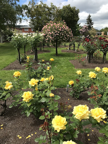 Reviews of Murray Linton Rose Garden in Rotorua - Landscaper