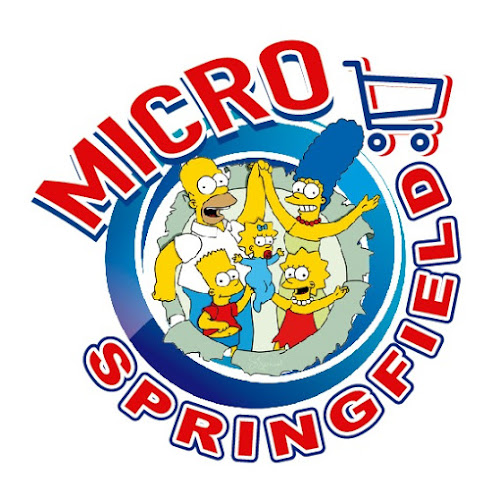 Micro Springfield - Ambato