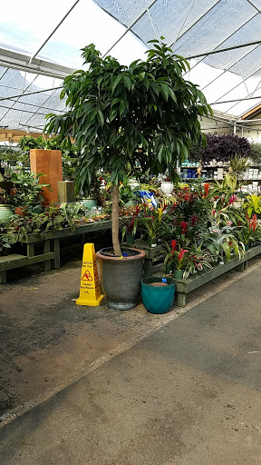 Garden Center «Pike Nurseries», reviews and photos, 6050 Bethelview Rd, Cumming, GA 30040, USA