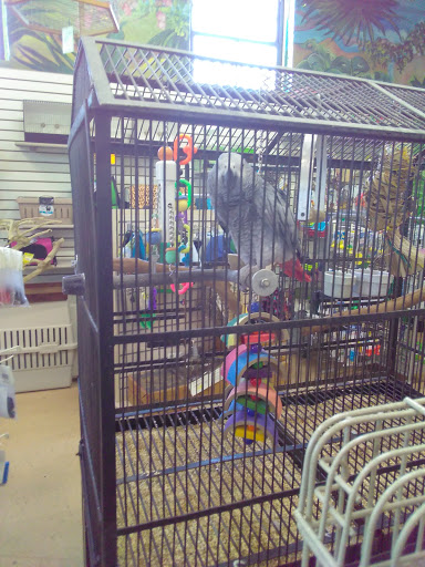 Bird Shop «The Aviary at Cauley Square», reviews and photos, 22400 Old Dixie Hwy, Miami, FL 33170, USA