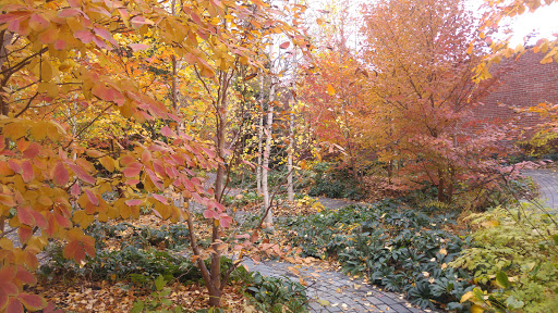 Art Museum «Isabella Stewart Gardner Museum», reviews and photos, 25 Evans Way, Boston, MA 02115, USA