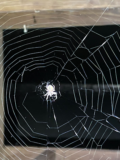 Auto Parts Store «NAPA Auto Parts - Genuine Parts Company», reviews and photos, 14829 Martin Dr, Eden Prairie, MN 55344, USA