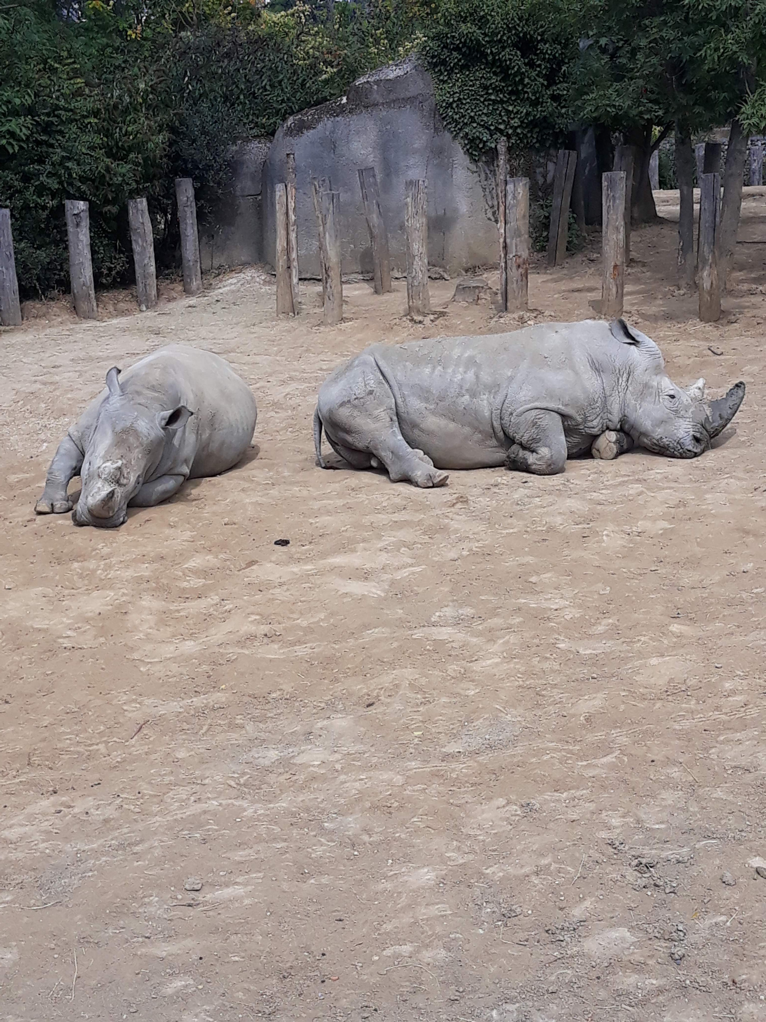 Photo n° 30 de l'avis de Ludo.a fait le 30/08/2021 à 17:15