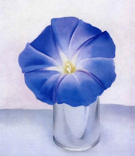 Thrift Store «Second Blessing Thrift Store Inc.», reviews and photos, 2323 Central Ave, Wichita, KS 67214, USA