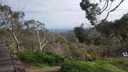Measday's Lookout