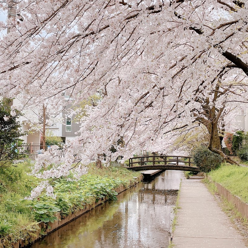 二ヶ領用水 取水口付近の小路 神奈川県川崎市多摩区宿河原 観光名所 グルコミ