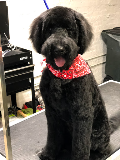 Pet Groomer «The Fetch House», reviews and photos, 130 W Washington St, Madison, GA 30650, USA