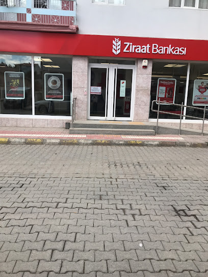 Ziraat Bankası Yeşilyurt/Tokat Şubesi