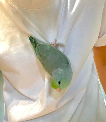 Pet Store «Pets & Such», reviews and photos, 3680 3500 S, West Valley City, UT 84120, USA