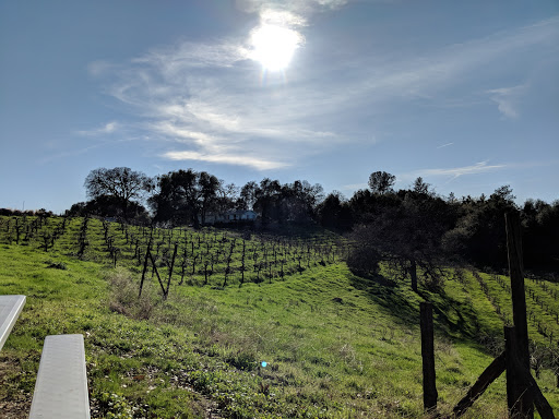 Winery «Story Winery», reviews and photos, 10525 Bell Rd, Plymouth, CA 95669, USA