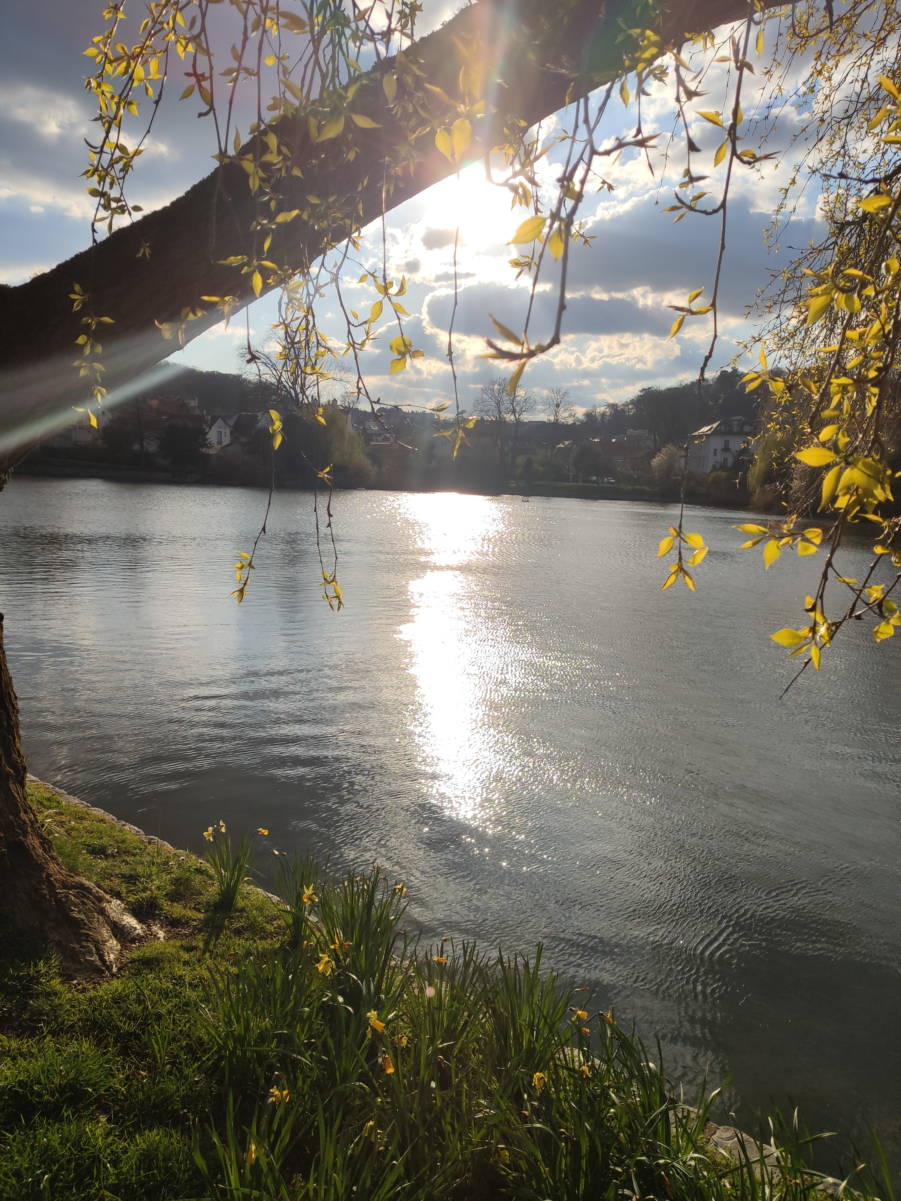 Photo n° 6 de l'avis de Marc.l fait le 21/04/2021 à 10:14