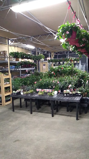 Department Store «Walmart Supercenter», reviews and photos, 2190 Gilmer Ave, Tallassee, AL 36078, USA