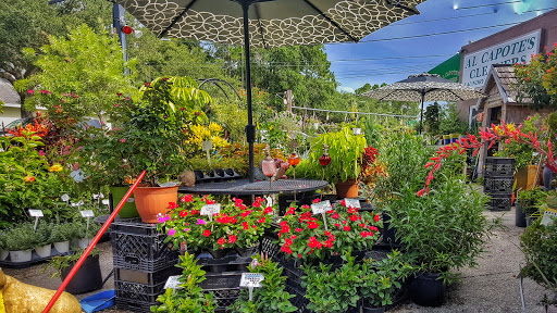 Grocery Store «Bayshore Market», reviews and photos, 5025 Bayshore Blvd, Tampa, FL 33611, USA