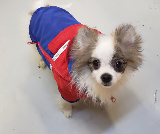 Pet Store «Pet Express», reviews and photos, 250 Granite St, Braintree, MA 02184, USA