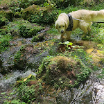 Photo n° 2 de l'avis de sophie.a fait le 04/09/2022 à 12:12 pour Parc du Sourdon à Saint-Martin-d'Ablois