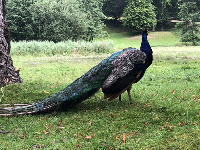 Photo n° 5 de l'avis de Caroline.e fait le 20/08/2021 à 15:40