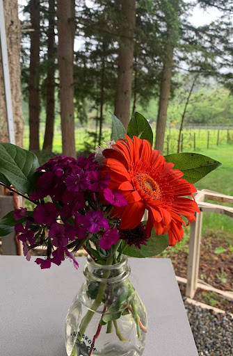 Winery «Perennial Vintners», reviews and photos, 8840 NE Lovgreen Rd, Bainbridge Island, WA 98110, USA