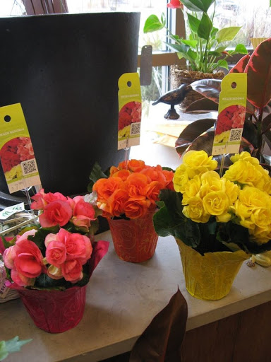 Florist «Best Wishes Floral», reviews and photos, 689 Winnetka Ave N, Golden Valley, MN 55427, USA