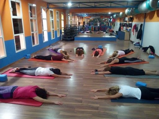 Padma Shala Escuela Tradicional De Yoga
