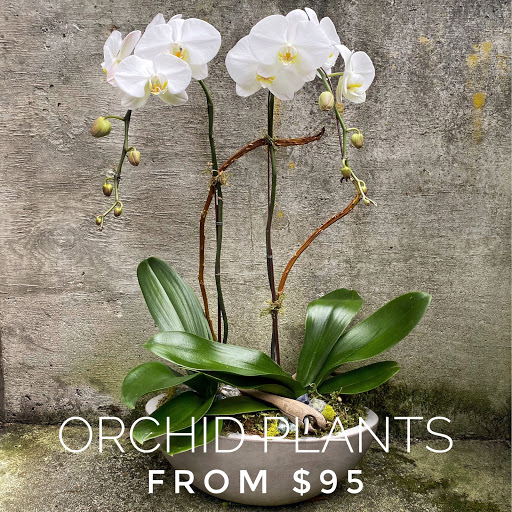 Florist «Fiori Floral Design», reviews and photos, 1126 N 84th St, Seattle, WA 98103, USA