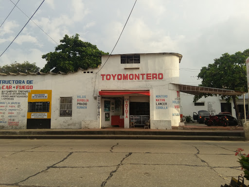 Toyomontero