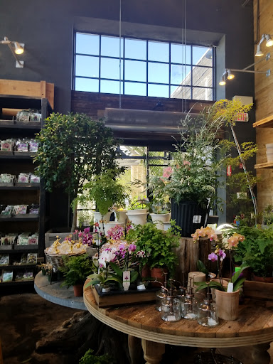 Garden Center «Terrain», reviews and photos, 561 Post Rd E, Westport, CT 06880, USA