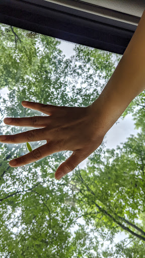 Park «McDade Park», reviews and photos, 3750 FM 2854 Rd, Conroe, TX 77304, USA