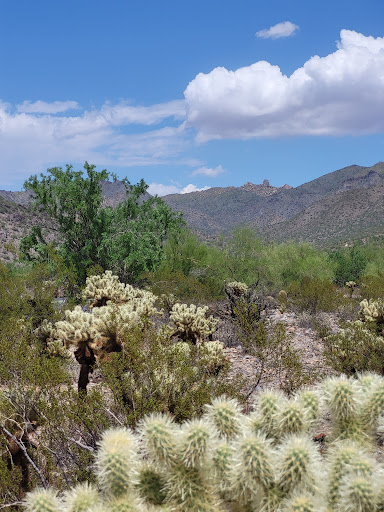 Nature Preserve «Gateway Trailhead - McDowell Sonoran Preserve», reviews and photos, 18333 N Thompson Peak Pkwy, Scottsdale, AZ 85255, USA