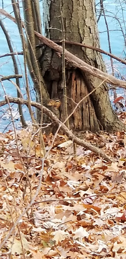 State Park «Winding Hills County Park», reviews and photos, 1847 NY-17K, Montgomery, NY 12549, USA