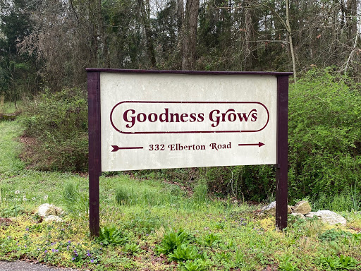 Garden Center «Goodness Grows», reviews and photos, 332 Elberton Rd, Lexington, GA 30648, USA