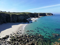 Plage des Charettes'in fotoğrafı vahşi alan