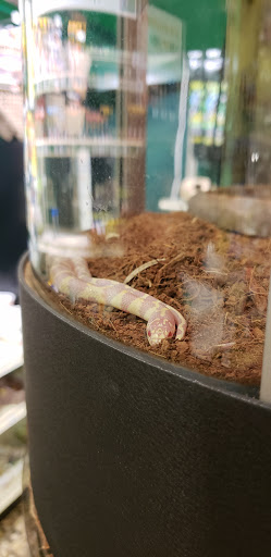 Pet Supply Store «Pet Supermarket», reviews and photos, 801 E Sunrise Blvd, Fort Lauderdale, FL 33304, USA