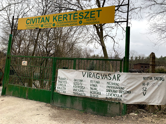 Értékelések erről a helyről: Civitan Club, Budapest - Kertészkedő